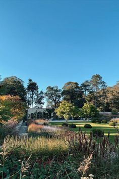 the gardens are full of flowers and trees, with blue skies in the sky above