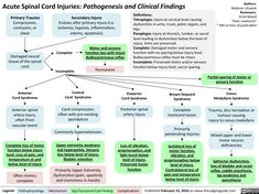 a diagram showing the different types of medical findings and their corresponding features in each section