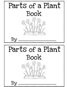 the parts of a plant book for children to color and write on their own pages