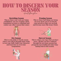 an info sheet describing how to use seasonal season