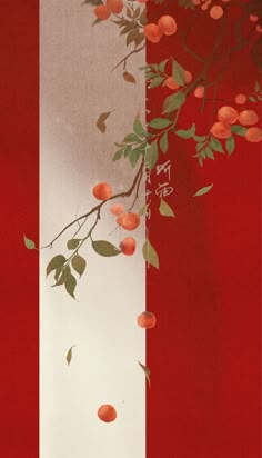 an orange tree with fruit on it in front of a red and white striped wall