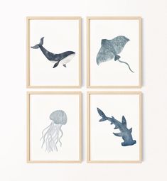 four watercolor paintings of sea animals on white paper