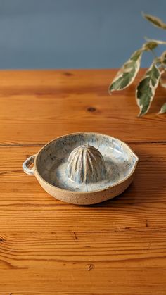 a ceramic dish sitting on top of a wooden table next to a potted plant