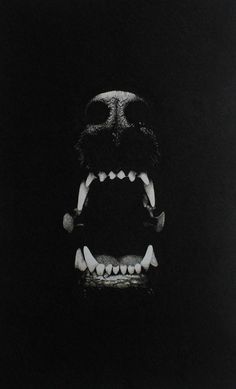 an animal with its mouth open and teeth wide out in the dark, looking like it is