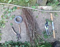 tools are laying on the ground next to some plants