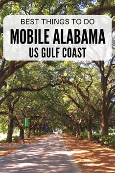 the best things to do in mobile alabama us gulf coast