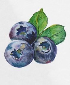 three blueberries with green leaves are shown on a white paper background, painted in watercolor