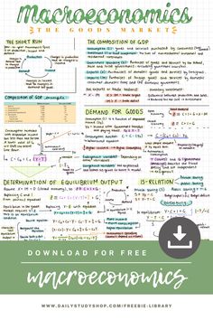 the macroonoics poster with text and diagrams