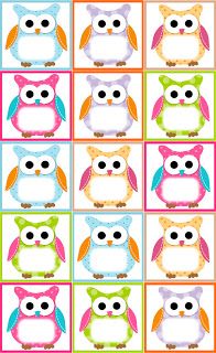 an image of owls with different colors