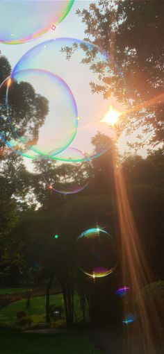 soap bubbles are floating in the air near trees and grass, with the sun shining behind them