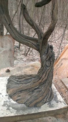 a tree that is sitting in the middle of a stone slab and has been carved into it