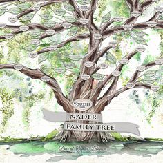 a family tree is shown with names and pictures on the bottom left hand corner,