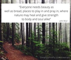 a path in the woods with a quote from john mulre about everyone needs beauty as well as bread, places to play in and pray, where nature may heal and give strength to body and soul alike