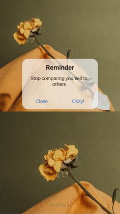 two pictures of flowers with the caption reminder stop comparing yourself to others