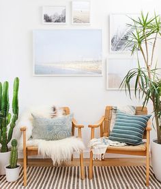 a living room with plants and pictures on the wall