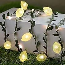 some lights that are sitting on top of a white box in the grass with green leaves