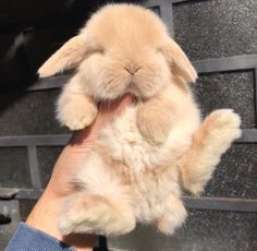 a person holding a small stuffed animal in their hand