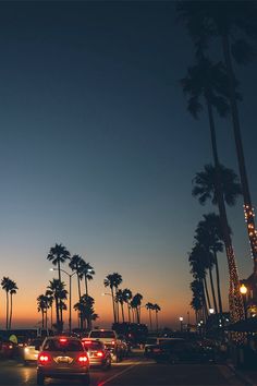 cars are driving down the street at night with palm trees in the foreground and lights on