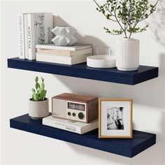 two shelves with books, plants and pictures on them