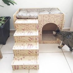 a cat is standing in front of a cardboard dog house with stairs leading up to it