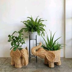 two elephant planters sitting next to each other