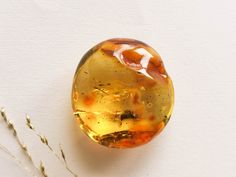 "Exclusive Natural Baltic amber golden and royal cognac color souvenir for real amber stone admirers. This large intense autumn color amber stone is a perfect cabochon for a jewelry designer if you have in mind some special pendant, a ring or some other jewelry piece in mind...? The back of it is with many hollow spots and the surface is perfectly even.  MATERIALS AND SIZE: Stone: 100% Natural Baltic Amber Weight: 21,7 g (0,76 oz)  Size: 4,4 cm (1,73 in) x 4,1 cm (1,61 in) x 2,2 cm (0,86 in) PLE Stone Home Decor, Gift For Newlyweds, Baltic Amber Jewelry, Cognac Color, Natural Amber, Amber Stone, Newlywed Gifts, Business Card Size, Amber Jewelry