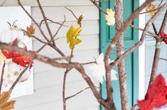 some leaves are hanging on the branches of a tree in front of a white house