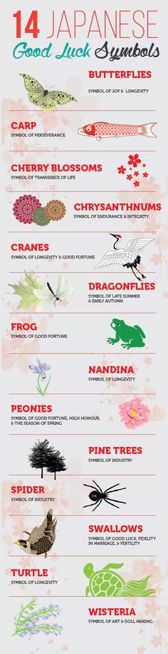 an info sheet with different types of birds and flowers on it, including the names of each