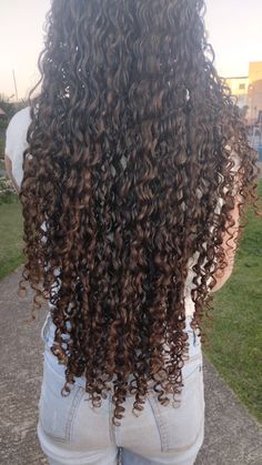 Brown Hair With Highlights Curly, Hair 2025, Manifesting 2024, Highlights Curly, Hair With Highlights, Protective Hairstyles Braids, Black Curly Hair, Brown Highlights, Brown Hair With Highlights