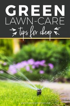 a lawn sprinkler spraying water on the grass with text overlay that reads green lawn - care tips for cheap