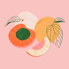 an illustration of oranges, lemons and leaves on a pink background in pastel colors