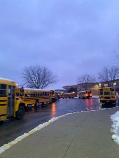 several school buses parked in a parking lot on a snowy day with snow covering the ground