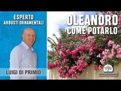 an image of a man standing in front of flowers and the words elanoro come potaroo