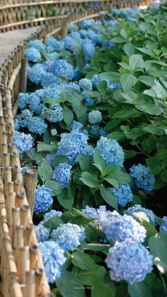 blue flowers are growing in a bamboo planter lined with green leaves and stems on the ground