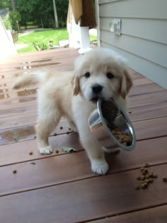 a puppy holding a metal bowl in it's mouth while standing on a porch