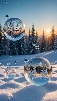 soap bubbles floating in the air over snow covered ground with trees and sunset behind them