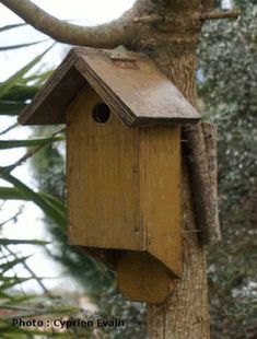 a bird house hanging from the side of a tree