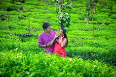 a man and woman standing in the middle of a lush green tea estate surrounded by trees