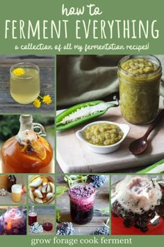 how to ferment everything a collection of all my ferments and recipes