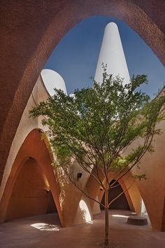 a tree is in the middle of a courtyard with arches and trees on both sides