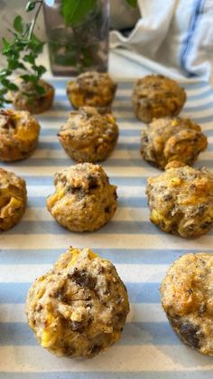 several muffins sitting on top of a blue and white striped table cloth next to a potted plant