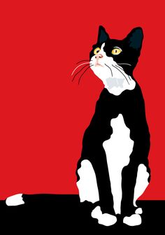 a black and white cat sitting on top of a red floor next to a wall