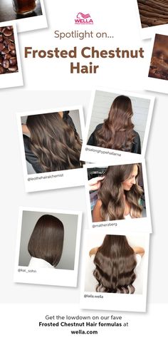 Think rich and warm brunette hair with caramel chestnut hues... find all your frosted chestnut hair color inspiration on our Trend Hub. Warm Brunette Hair, Brown Hair Color Chart, Hair Formulas, Hair Color Brown Chestnut, Hair Color Inspiration, Caramel Brown Hair, Chestnut Brown Color, Chestnut Brown Hair