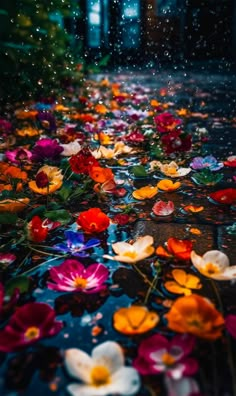 colorful flowers are floating in the water on a rainy day