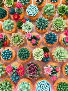 cupcakes decorated with succulents and flowers on a pink tablecloth