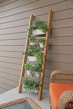 a wooden ladder is holding plants on the side of a house with wicker chairs