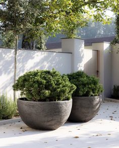 two large planters sitting on top of a cement slab