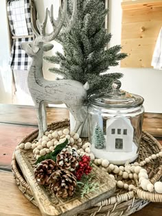 a small christmas tree in a glass jar on a tray with rocks and pine cones