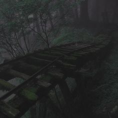 an old train track in the middle of a foggy forest