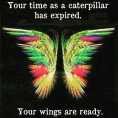 an image of two wings with the caption your time as caterpillar has expired